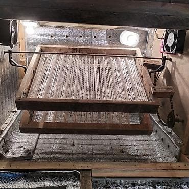 inkübatör: Azərbaycan, Bütün növ quşlaq üçün — 6