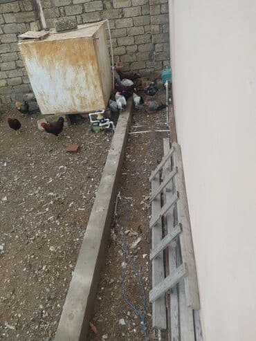 Drellər: Məhsul: Taxta nərdivan Təsvir: - Material: Tam taxta konstruksiya - — 1