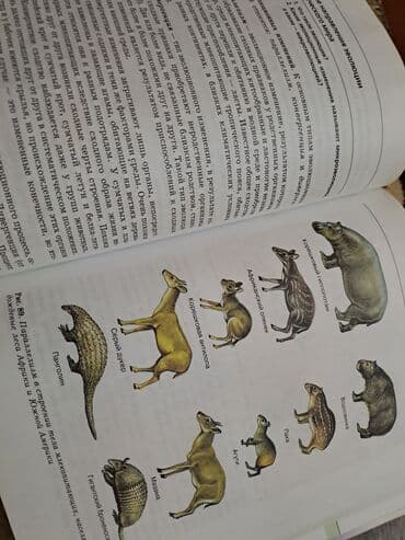 7 ci sinif riyaziyyat dersliyi pdf yukle: Общая биология,10-11 классы — 2