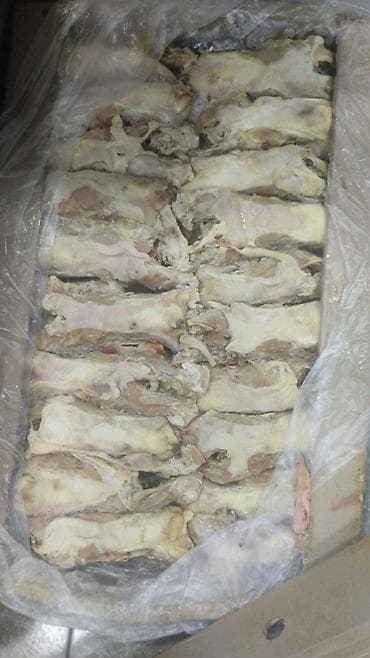 dovşan yemi: Toyuq Supluq Bel tiri qiymət hər məhsulun kq görə dəyişir. Toyuq — 2