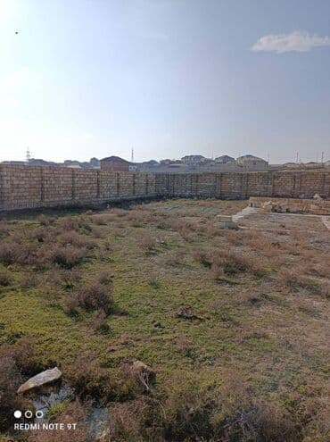 binə qəsəbəsi: 3 sot, Kənd təsərrüfatı, Makler, Kupça (Çıxarış) — 2