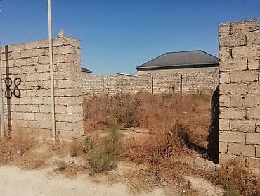 Kənd təsərrüfatı, Kupça (Çıxarış)