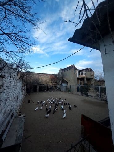 sumqayit 1otaq: 4 sot tecili satilir ev qarışıq senedlerde qaydasinda Teze corat cüme — 3