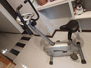 Электротранспорт: Proteus Cycle seriyalı velosiped trenajoru - Maqnitli müqavimət — 1