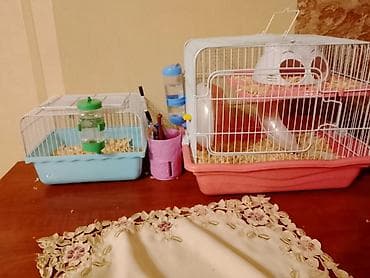 bakida at bazari: Ağ rəngli xamyak və gara rengli xamyak tam dəst qəfəs - Növ: kiçik ev — 1