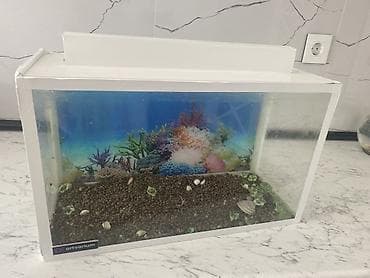 Dördbucaq akvarium, Boş, 20 l, Ünvandan götürmə lalafo.az -da Dördbucaq akvarium, Boş, 20 l, Ünvandan götürmə