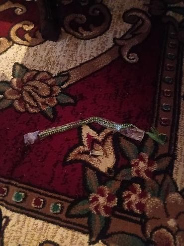 Məhsul: Yaşıl rəngli təsbeh (mürgülü uclu) - Material: xırda, dairəvi lalafo.az -da Məhsul: Yaşıl rəngli təsbeh (mürgülü uclu) - Material: xırda, dairəvi