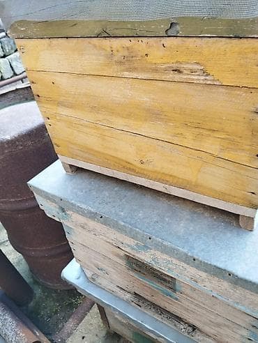 ari yeşiklərinin satışı: Taxta material.İşlənmiş arı yuvaları.Qiymət razılaşma yolu ilə.Tək-tək — 3