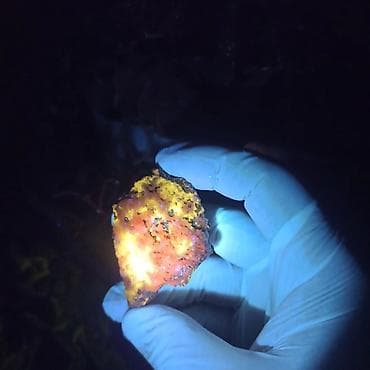 ucuz gitara satisi: UV Parlayan Təbii Daş Satılır – Kolleksiya üçün Nadir Kristal 💎 — 3