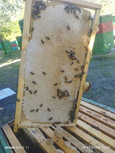 дистиллированная вода баку: Мёд — 4