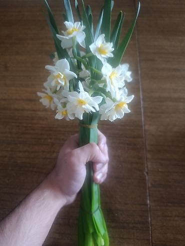 orxideya gul: Nərgiz güllərindən dəstə - Çeşid: Ağ ləçəklər və sarı mərkəzli nərgiz — 1