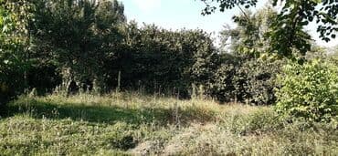 xacmazda 9 nöm mektebin yanında ev torpaq satqısı: 15 sot, Mülkiyyətçi — 6