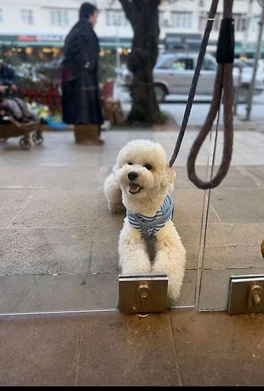 kişi geyimləri: Endirim olacaq etraflı melumat üçün 070 900 08 90 elaqe saxlayın — 1