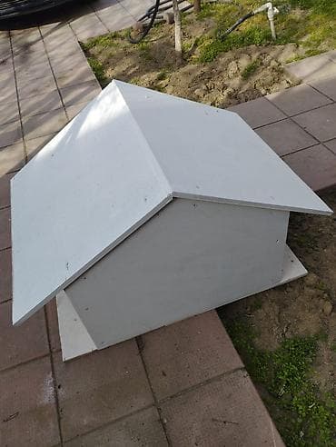 Ağ rəngli taxta it evi - Material: möhkəm taxta lövhələr, xaricə