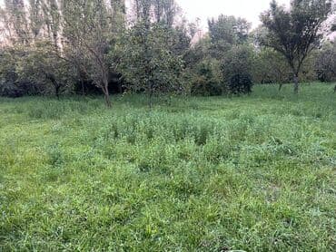 sumqayitda 1 otaq kiraye evler: 4 otaqlı, 63 kv. m, Təmirsiz — 10