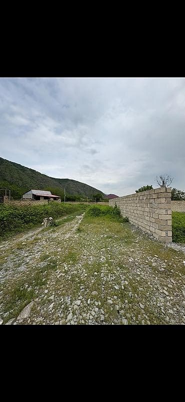 yasil derede torpaq satilir: Tikinti, Kupça (Çıxarış) — 6