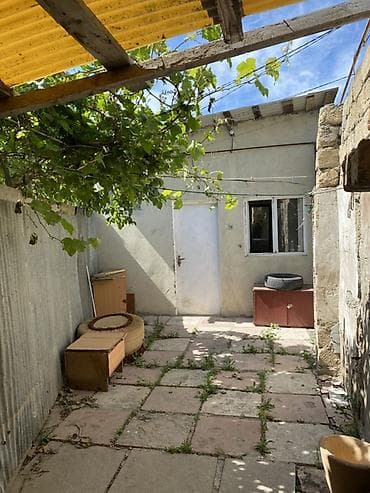Недвижимость: 1 otaqlı həyət evi - Plan: geniş bir otaq (yataq və qonaq zonası) — 1