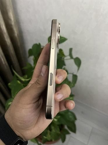iphone 13 pro max qiymet: IPhone 16 Pro Max, 512 GB, Qızılı, Face ID — 2