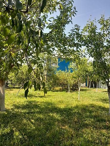 nasosnu ev: 100 kv. m, 3 otaqlı, Kombi, Qaz, İşıq — 2