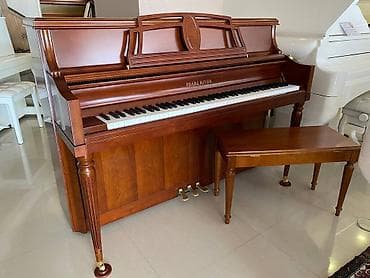 Liderlik tarixi digər Uzaq Şərqdəki fabrikaların yaranma tarixi qədər