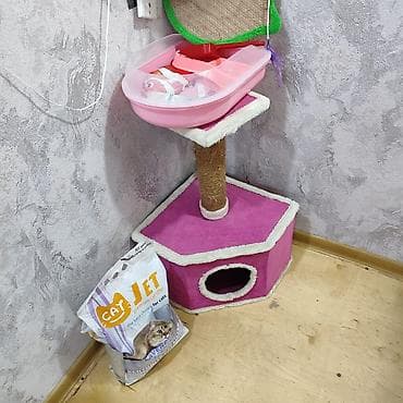 pisik qumu: Pişik üçün künc tipli oyun və istirahət dəsti - Altlıq: altıguşəli — 2