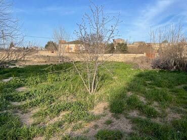 sabunçu qəsəbəsi: 8 sot, Tikinti, Mülkiyyətçi, Bələdiyyə — 3