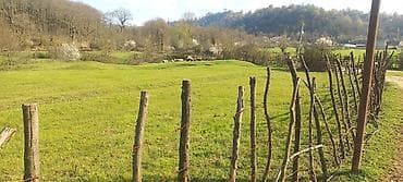 astara rayonu: Tikinti — 4