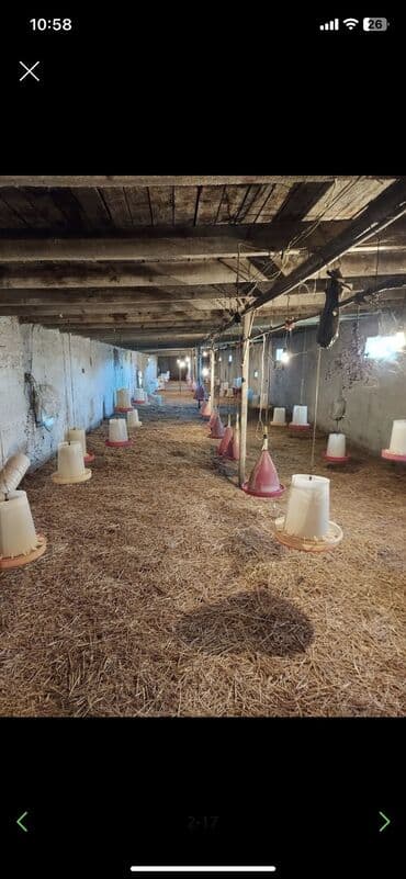 xaşa xuna: Qala qəs. 3 otaqlı, 550 kv. m, Kredit yoxdur, Orta təmir — 1