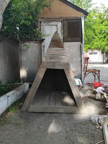 boksyor it: Taxta it kulbəsi – A-formalı - Material: qalın taxta lövhələr və — 3