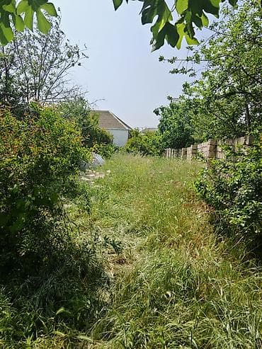 nefci: Tikinti üçün tam yararlı torpaq sahəsi satılır. ✅ Etibarnamə (99 — 2
