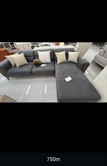 dekorativ otaq bitkiləri: Divan, Divan — 5