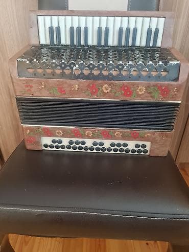Klavişli alətlər: Akkordeon – klaviş və düymə kombinasiyalı model - Üst paneldə pianino — 1