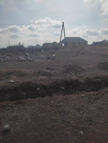 Biologiya: 45 sot, Tikinti, Maklerlər narahat etməsin, Kupça (Çıxarış), Bələdiyyə — 1