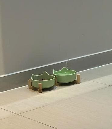 agilli yem qabi: Yeni, pişik və it yemək və su qabısı. ikili keramik qab taxta altlıqla — 2