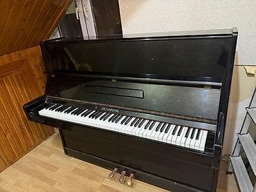 Piano, Belarus, Akustik, İşlənmiş