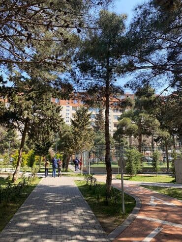 qurtuluş 93 kiraye evler tap az: Temirli isiqli metroya yaxin tam esyali aileye kiraye verilir xanim — 5