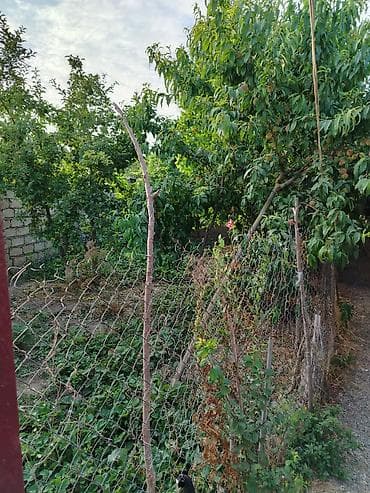 кредит: Хачмаз, 120 м², 4 комнаты, Без бассейна, Водопровод — 5