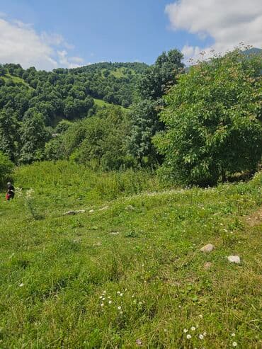 ferma icarəyə verilir: Tikinti — 6