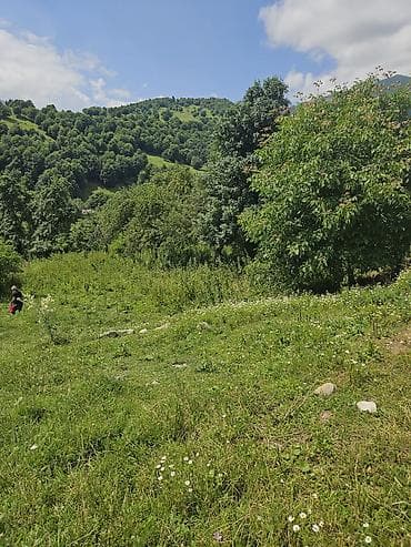 yol qiragi: Tikinti — 2