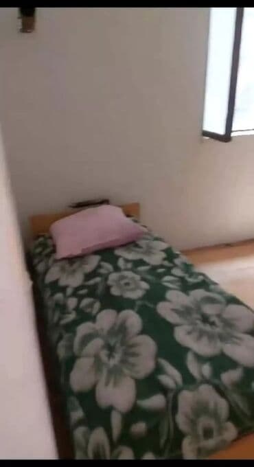 mingecevir seheri kiraye evler: Mingəçevirdə universitet yaxınlığında 3 nəfər oğlan tələbələrin yanına — 1