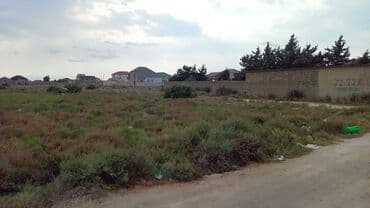 sulutəpə çiçək qəsəbəsi: 5 sot, Kənd təsərrüfatı, Kupça (Çıxarış) — 5