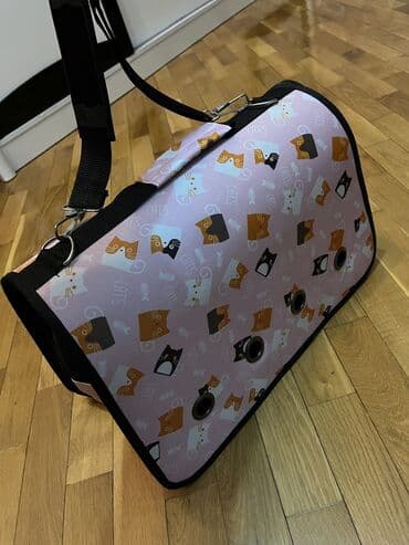 вислоухий кот цена: Шиншилла, Самка, В добрые руки, Бесплатная доставка — 7