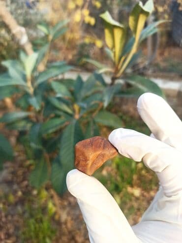 qızılın 1 qramının qiyməti 2022: 💎 Təbii JASPER Daşı😍 Qiymətlə bağlı maraqlananlar zəhmət olmasa — 13