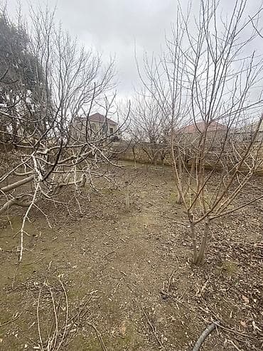 torpaqlarin satisi: Tikinti — 10