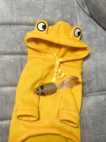 Pişik satılır. Ustunde her şey verılır Pişik üçün aksesuar və — 3