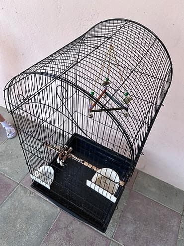 quşlar: Böyük ölçülü quş qəfəsi - Material: dayanıqlı metal tor və plastik — 3