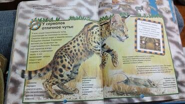 детские сумки: Детские сказки,в идеальном состояние несколько книжек новые.цены от 3 — 6