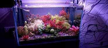 akvarium satisi: 70x40x40 Göründüyü vəziyətdə satılır. İşıqdan başqa bütöv komplekt — 1