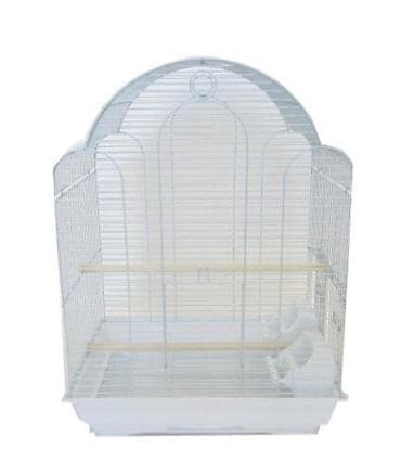 taxta qefes: SUPER PAPUQAY DƏSTİ 🦜cemi 45 azn ✨ Hamısı bir yerdə – ideal başlanğıc — 7