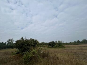 qubada torpaq satilir 2020: 110 sot, Tikinti — 11